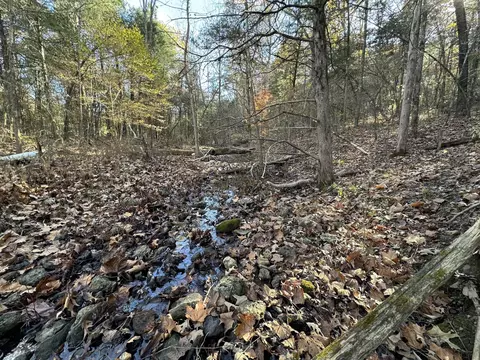 000 State Highway Pp, Tecumseh, MO 65760 photo 6
