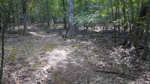 000 Fawn Ln, Shell Knob, MO 65747 photo 12