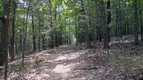 000 Fawn Ln, Shell Knob, MO 65747 photo 9
