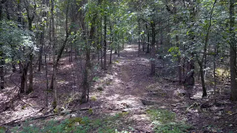 000 Fawn Ln, Shell Knob, MO 65747 photo 11