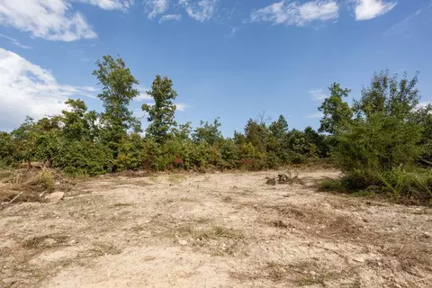 0000 County Road 458b, Birch Tree, MO 65438