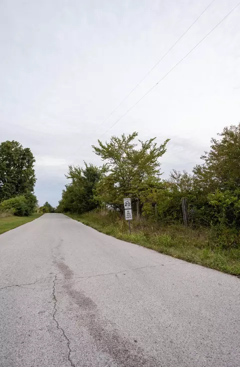 416 Willard St, Clever, MO 65631 photo 45