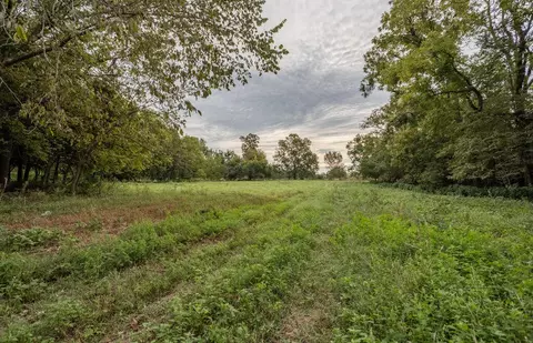 416 Willard St, Clever, MO 65631 photo 35