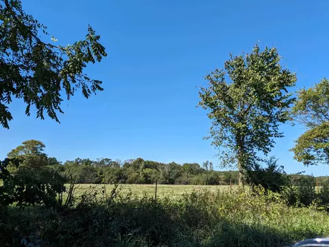 000 Quail Spur Rd, Crane, MO 65633 photo 18