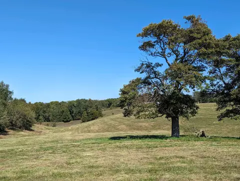 000 Quail Spur Rd, Crane, MO 65633 photo 3