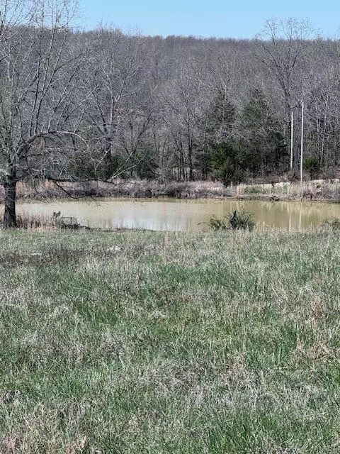 612 County Road 261, Myrtle, MO 65778 photo 5