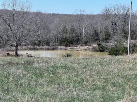 612 County Road 261, Myrtle, MO 65778 photo 4