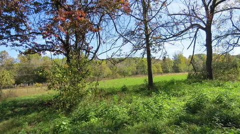 000 Private Ln, Noel, MO 64854 photo 15
