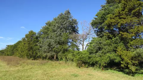 000 Private Ln, Noel, MO 64854 photo 2