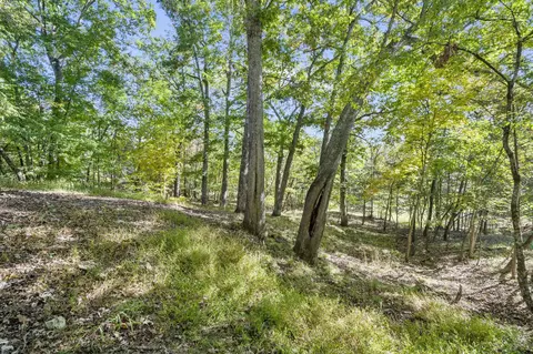 1016 Beeler Rd, Branson, MO 65616 photo 21