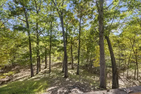 1016 Beeler Rd, Branson, MO 65616 photo 18