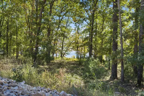 280 Dogwood Park Trl, Indian Point, MO 65616 photo 45