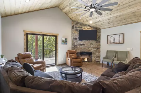 280 Dogwood Park Trl, Indian Point, MO 65616 photo 6