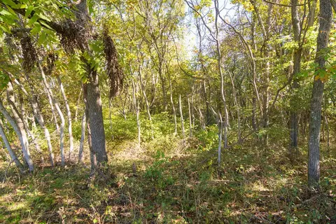 000 Lee Ridge Rd, Crane, MO 65633 photo 21
