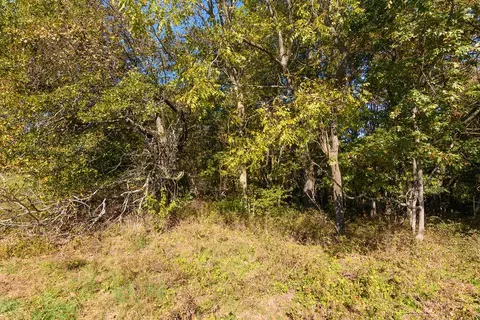 000 Lee Ridge Rd, Crane, MO 65633 photo 20