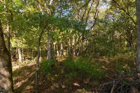 000 Lee Ridge Rd, Crane, MO 65633 photo 19