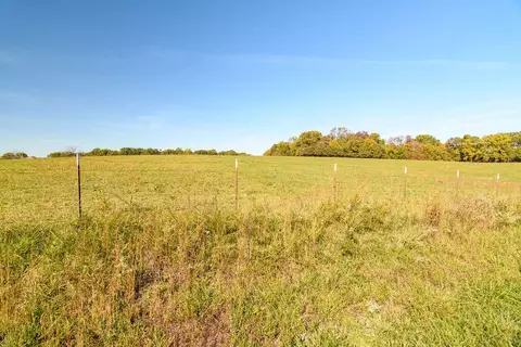 000 Lee Ridge Rd, Crane, MO 65633 photo 17