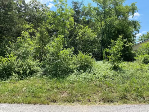 000 Amherst Rd, Branson, MO 65616 photo 2