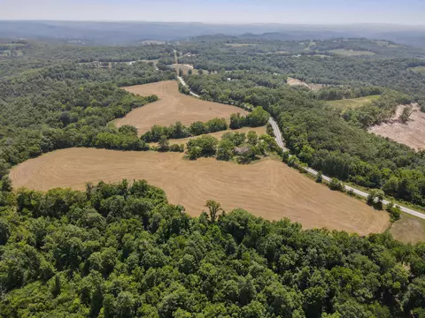 000 Tbd State Hwy 125 S, Chadwick, MO 65629 photo 6