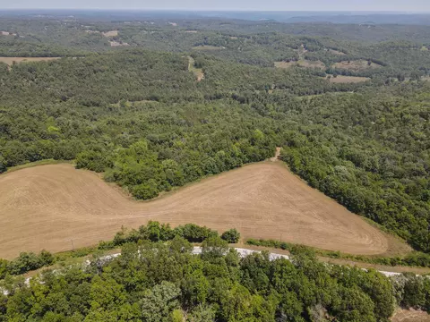 000 Tbd State Hwy 125 S, Chadwick, MO 65629 photo 3