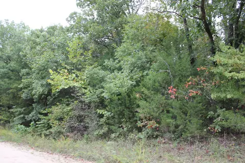 000 County Road 953, Squires, MO 65755 photo 5