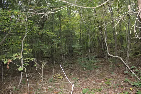 000 County Road 953, Squires, MO 65755 photo 10