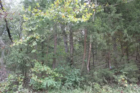 000 County Road 953, Squires, MO 65755 photo 2