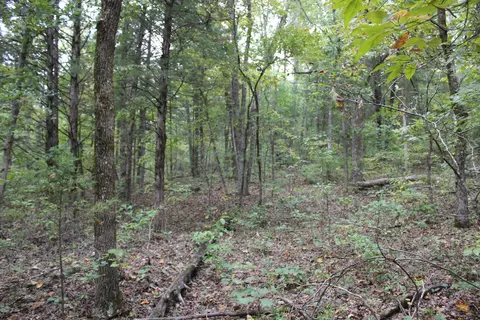 000 County Road 953, Squires, MO 65755 photo 6