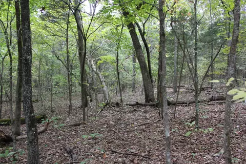 000 County Road 953, Squires, MO 65755 photo 13