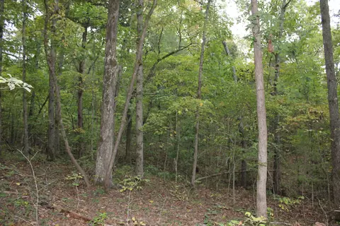 000 County Road 953, Squires, MO 65755 photo 7