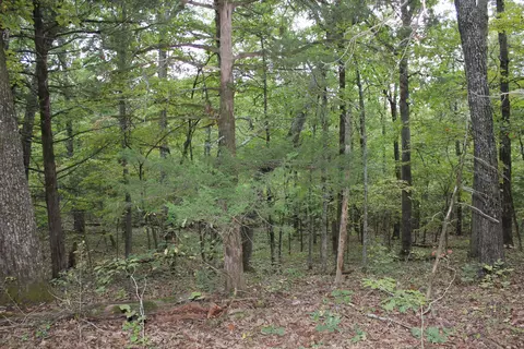 000 County Road 953, Squires, MO 65755 photo 12