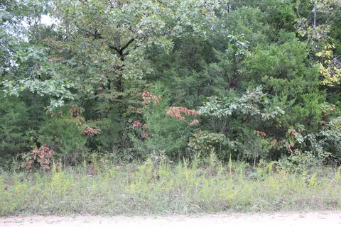 000 County Road 953, Squires, MO 65755 photo 4