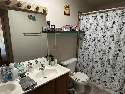 12129 County Road 456, Birch Tree, MO 65438 photo 10