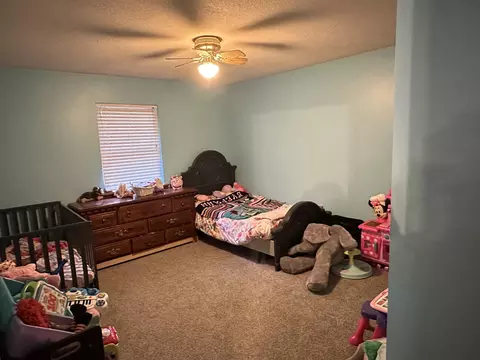 12129 County Road 456, Birch Tree, MO 65438 photo 12