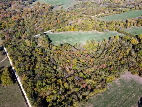 000 SE 625 Rd, Collins, MO 64738 photo 13