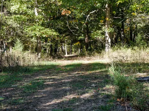 000 SE 625 Rd, Collins, MO 64738 photo 4