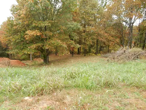 163 Stormy Dr, Spokane, MO 65754 photo 4
