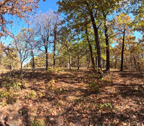 Tbd Ridge, Tunas, MO 65764 photo 3