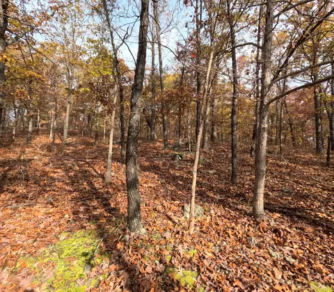 Tbd Ridge, Tunas, MO 65764 photo 19
