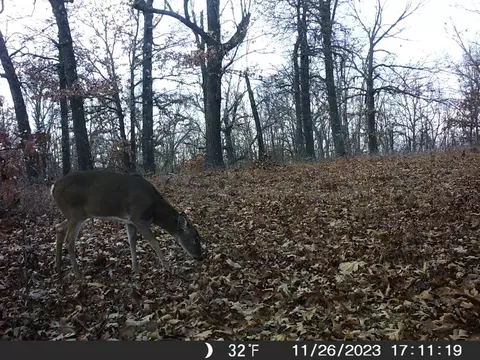 Tbd Ridge, Tunas, MO 65764 photo 27