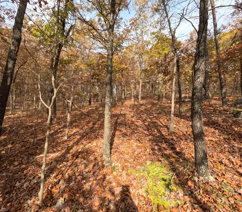 Tbd Ridge, Tunas, MO 65764 photo 18