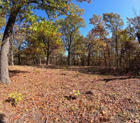 Tbd Ridge, Tunas, MO 65764 photo 4