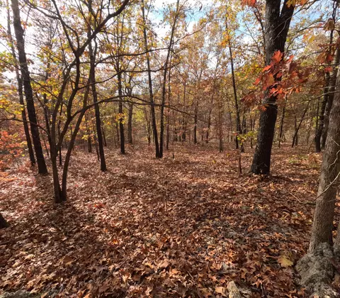 Tbd Ridge, Tunas, MO 65764 photo 14