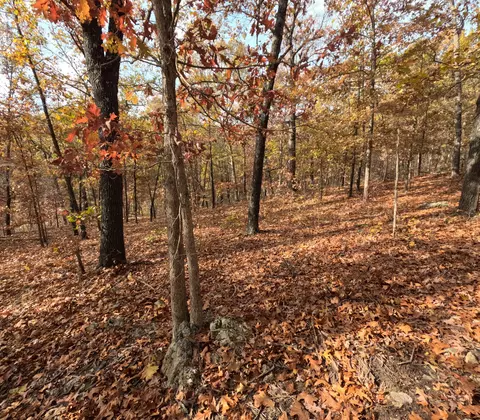 Tbd Ridge, Tunas, MO 65764 photo 15