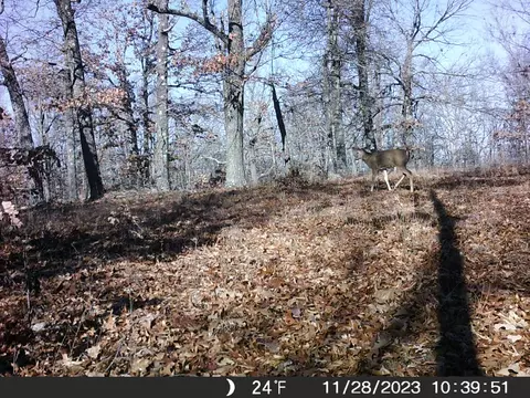 Tbd Ridge, Tunas, MO 65764 photo 32