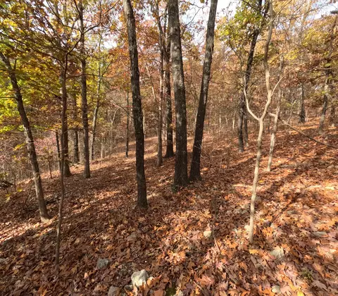 Tbd Ridge, Tunas, MO 65764 photo 17