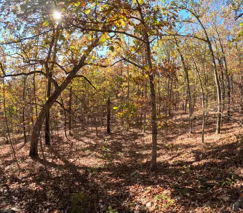 Tbd Ridge, Tunas, MO 65764 photo 10