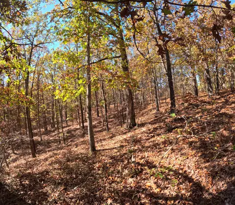 Tbd Ridge, Tunas, MO 65764 photo 9