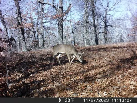 Tbd Ridge, Tunas, MO 65764 photo 30