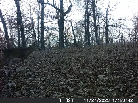 Tbd Ridge, Tunas, MO 65764 photo 31